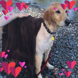 Meet your Posher, Regina